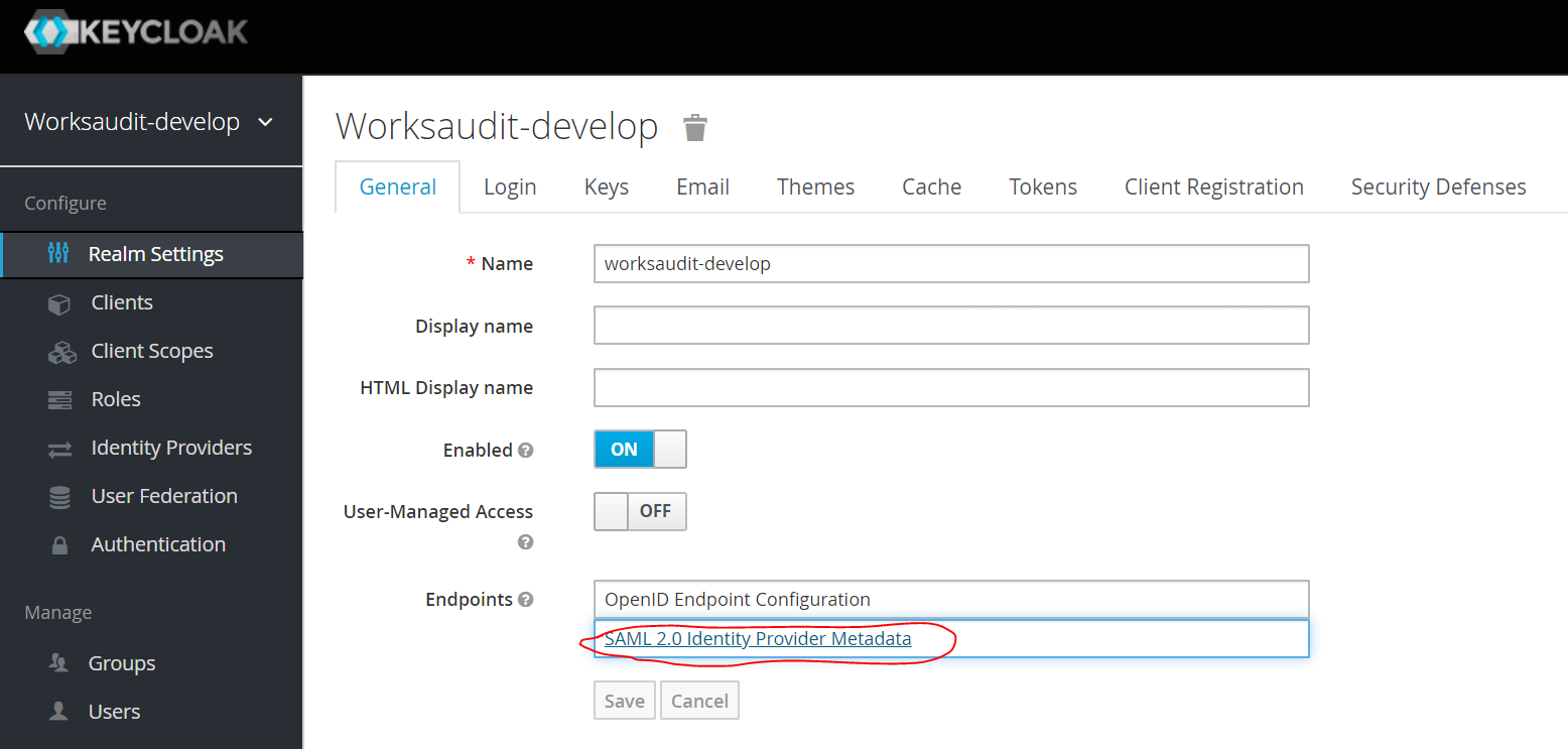 SAML Identity Provider Metadata